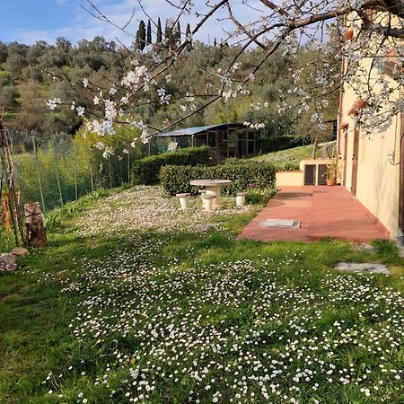 因普鲁内塔Dependance Nel Chianti A Pochi Minuti Da Firenze公寓 外观 照片