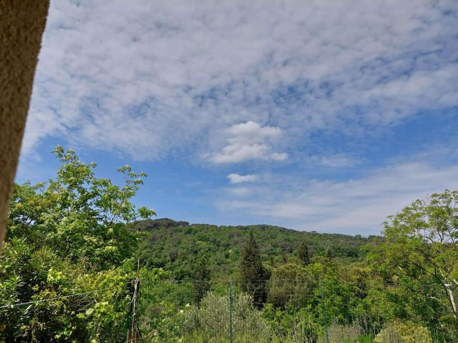 因普鲁内塔Dependance Nel Chianti A Pochi Minuti Da Firenze公寓 外观 照片