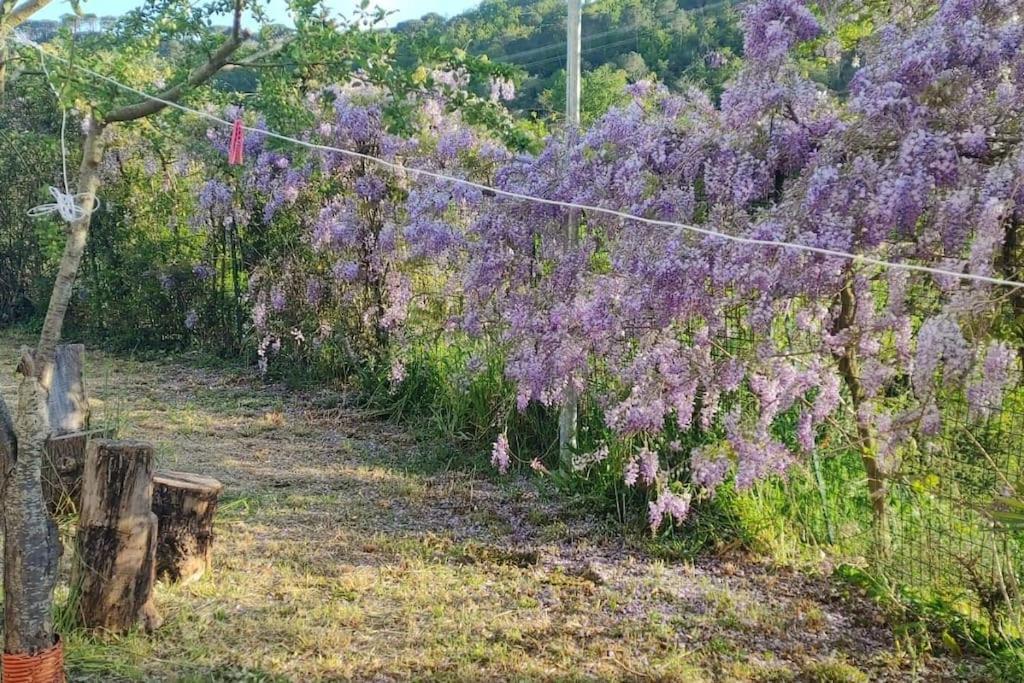 因普鲁内塔Dependance Nel Chianti A Pochi Minuti Da Firenze公寓 外观 照片